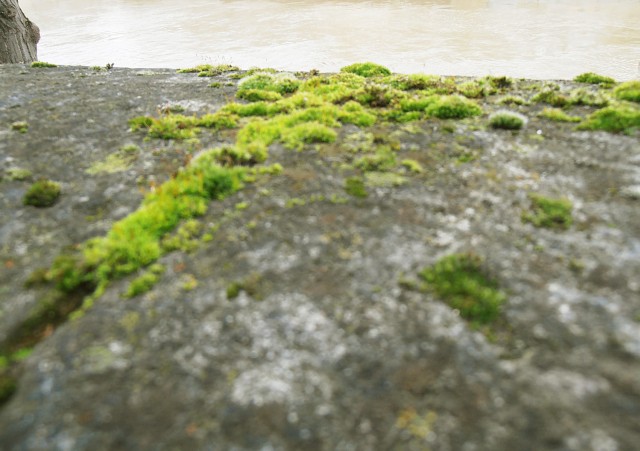 e04-P1060028