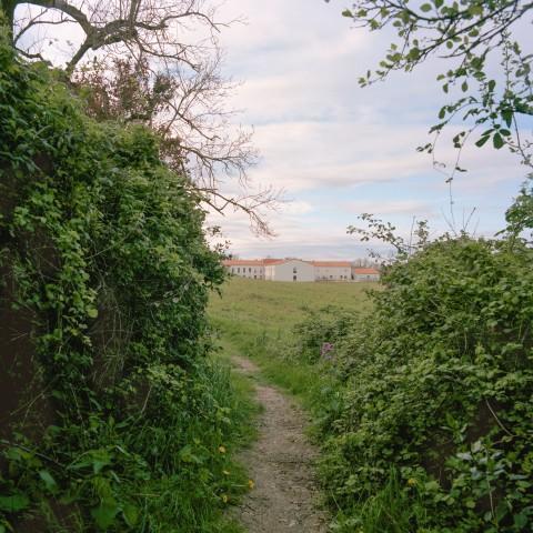 SOICHET-LOT-03