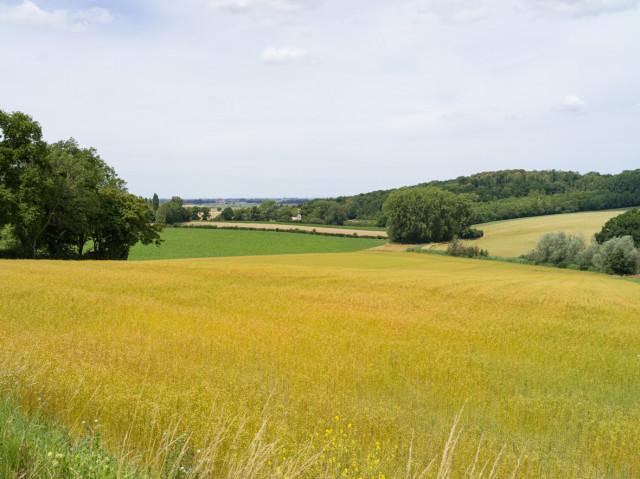 HSoichet-0003967